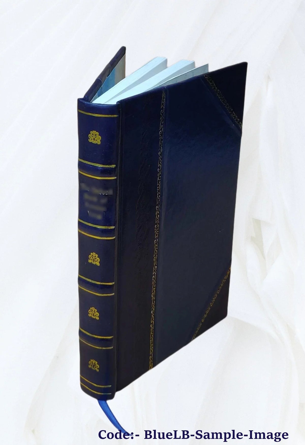 / Eldridge's John, pilot, Chatham Eldridge. eastern St. from coast compiled George 1880 to Bound] by 1 N.B. section no. [Leather