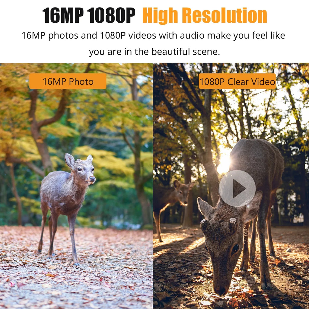 Farm, 2.4'' TFT IP66 Game Vision, 1080P Color and Dadypet Display Detection, Use for Camera Trail Home Waterproof, and Night IR with Wildlife, Motion